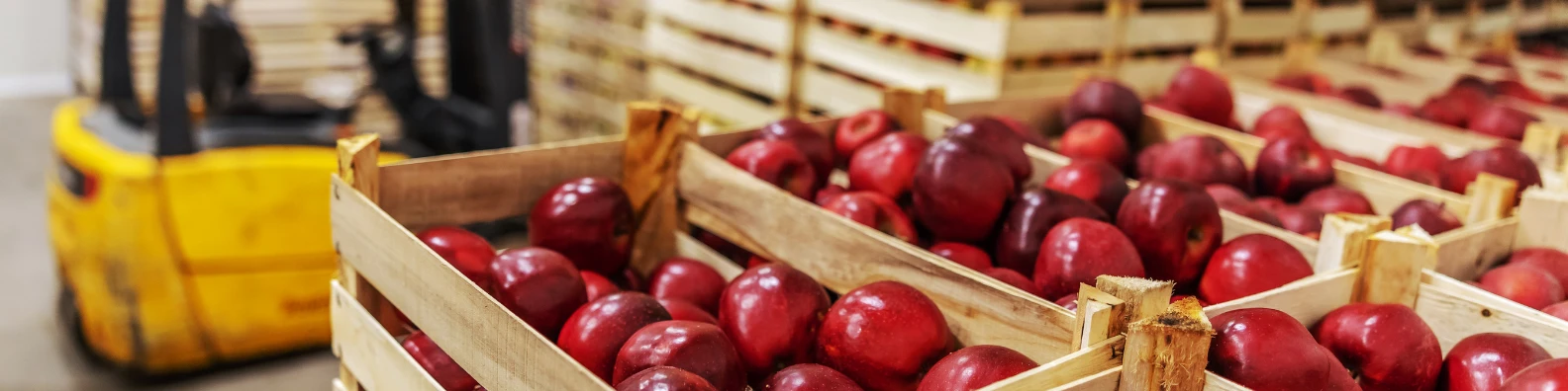 Team Leader Packing Line (Fruit Packaging)